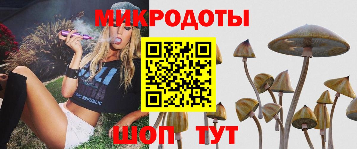 Муром  Псилоцибиновые грибы MAGIC MUSHROOMS  Вход с VPN  Галлюциногенные грибы Psilocybine cubensis 